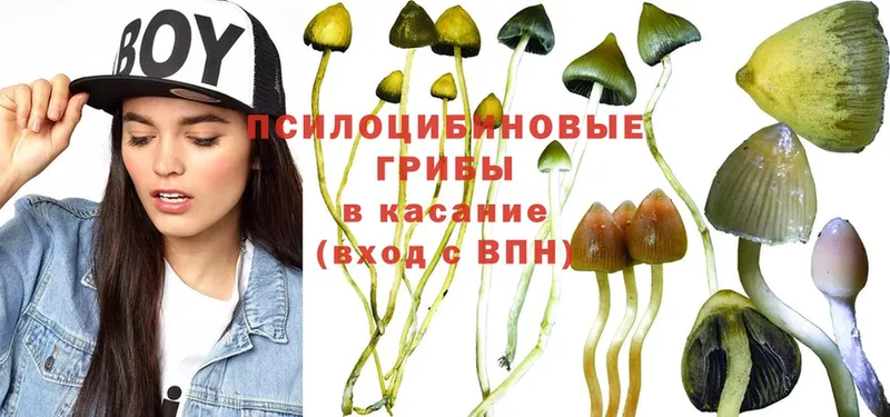 MEGA ссылка  Североуральск  Галлюциногенные грибы MAGIC MUSHROOMS 